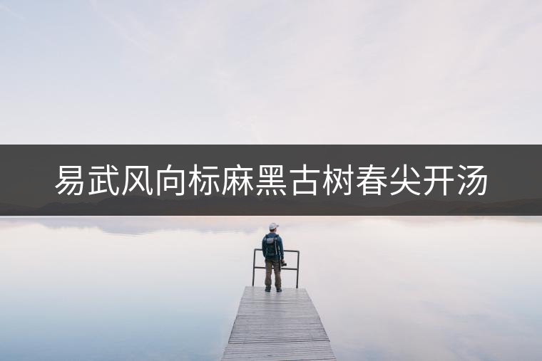 易武風(fēng)向標(biāo)麻黑古樹春尖開湯