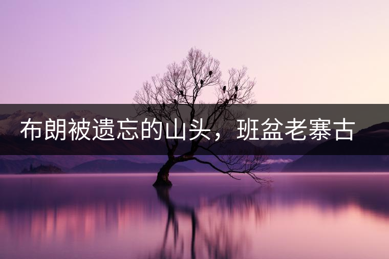 布朗被遺忘的山頭，班盆老寨古茶園介紹