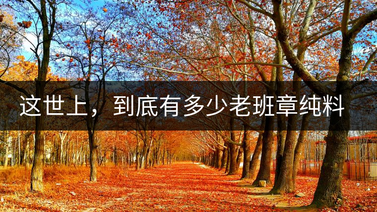 這世上，到底有多少老班章純料古樹茶