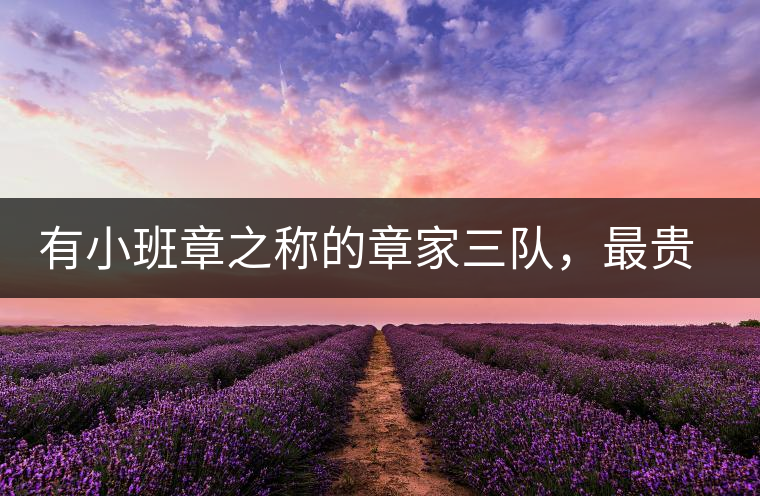 有小班章之稱的章家三隊(duì)，最貴的小樹(shù)茶