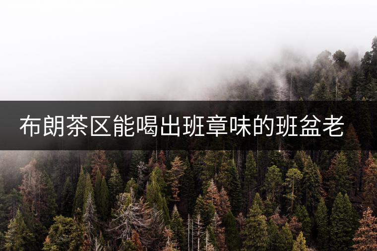 布朗茶區(qū)能喝出班章味的班盆老寨你知道嗎？