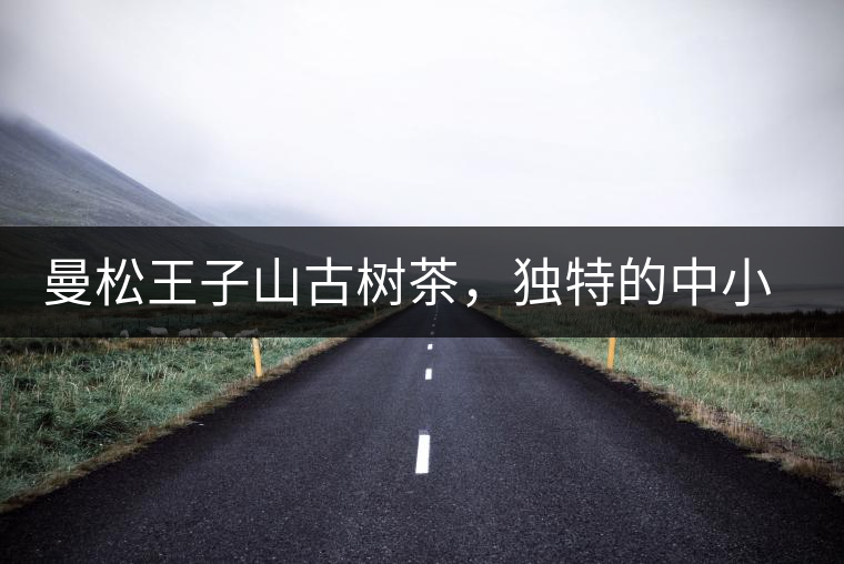 曼松王子山古樹茶，獨(dú)特的中小葉種珍品貢茶