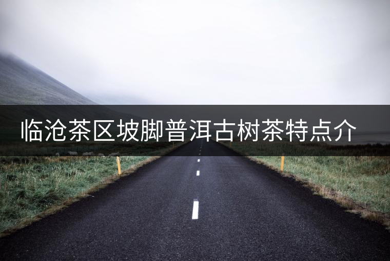 臨滄茶區(qū)坡腳普洱古樹茶特點(diǎn)介紹 臨滄茶區(qū)坡腳普洱古樹茶特點(diǎn)介紹