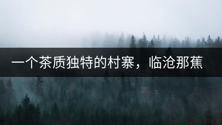 一個茶質獨特的村寨，臨滄那蕉古樹茶介紹