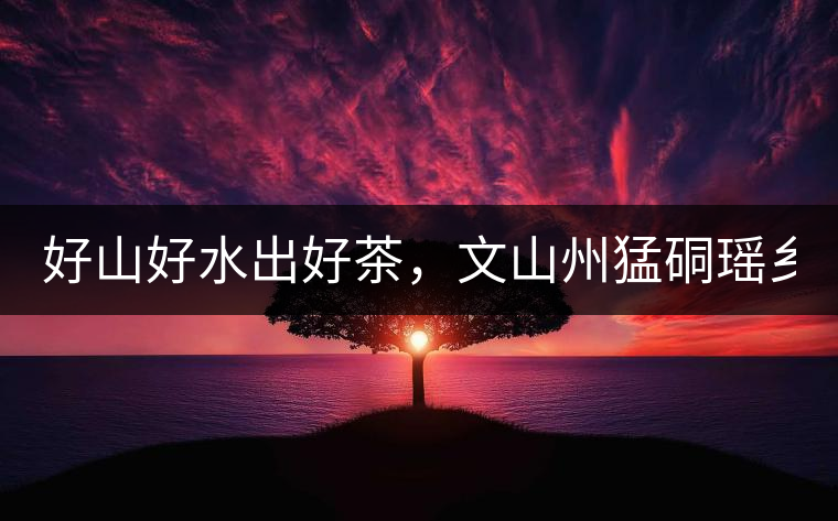 好山好水出好茶，文山州猛硐瑤鄉(xiāng)茶！