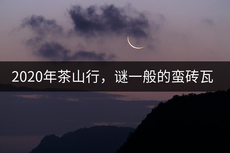 2020年茶山行，謎一般的蠻磚瓦竜古茶山