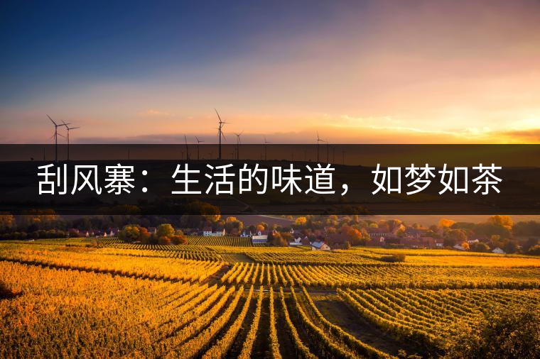 刮風(fēng)寨：生活的味道，如夢如茶