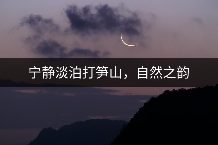 寧靜淡泊打筍山，自然之韻