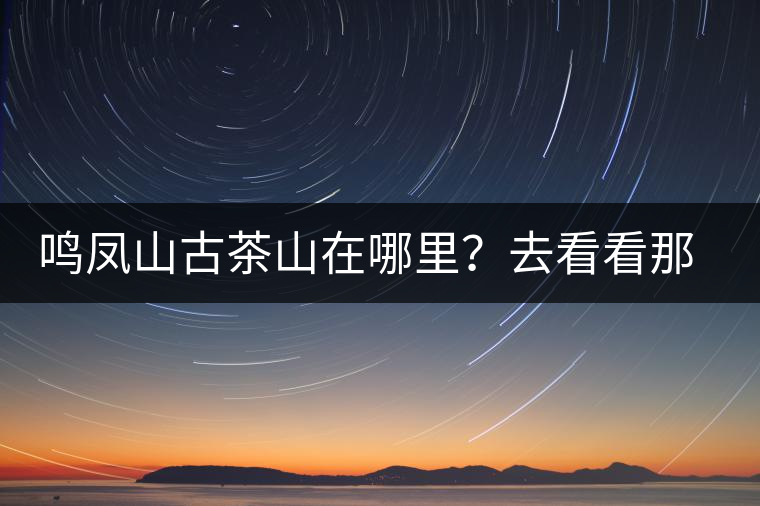 鳴鳳山古茶山在哪里？去看看那鳳凰曾經(jīng)落腳的地方
