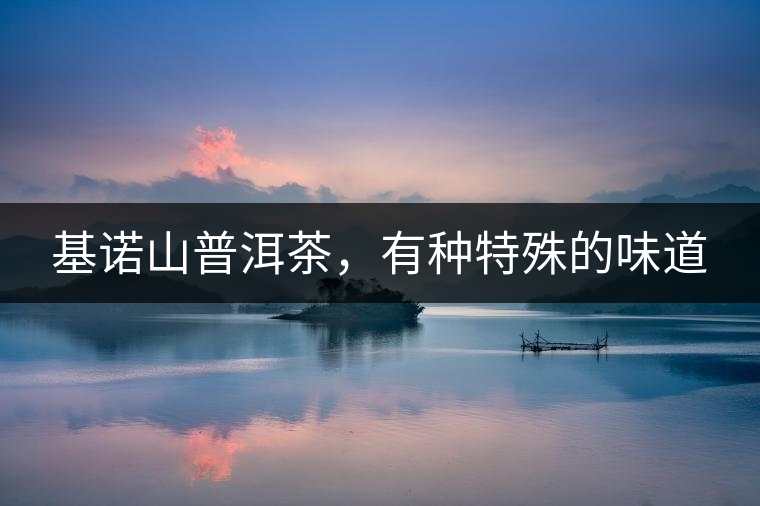 基諾山普洱茶，有種特殊的味道