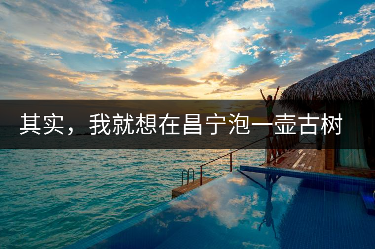 其實，我就想在昌寧泡一壺古樹茶