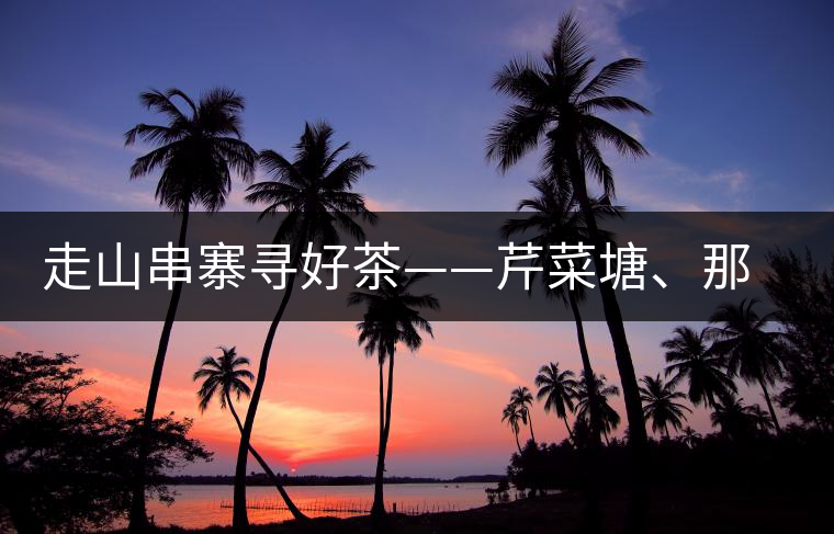 走山串寨尋好茶——芹菜塘、那罕、曼崗、昔歸