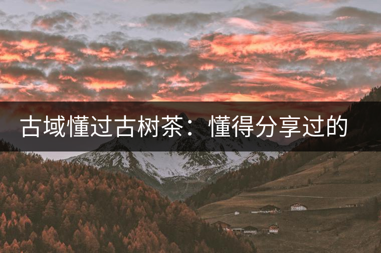 古域懂過(guò)古樹(shù)茶：懂得分享過(guò)的快樂(lè)，方為懂過(guò)