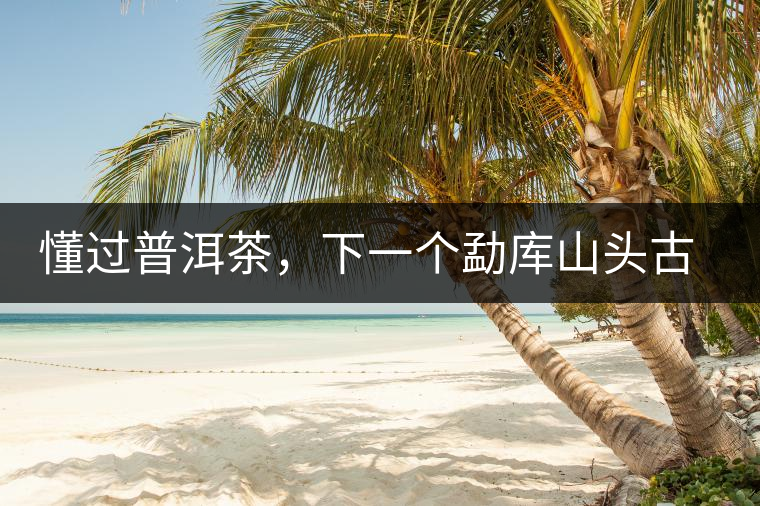 懂過普洱茶，下一個勐庫山頭古純的引爆點(diǎn)