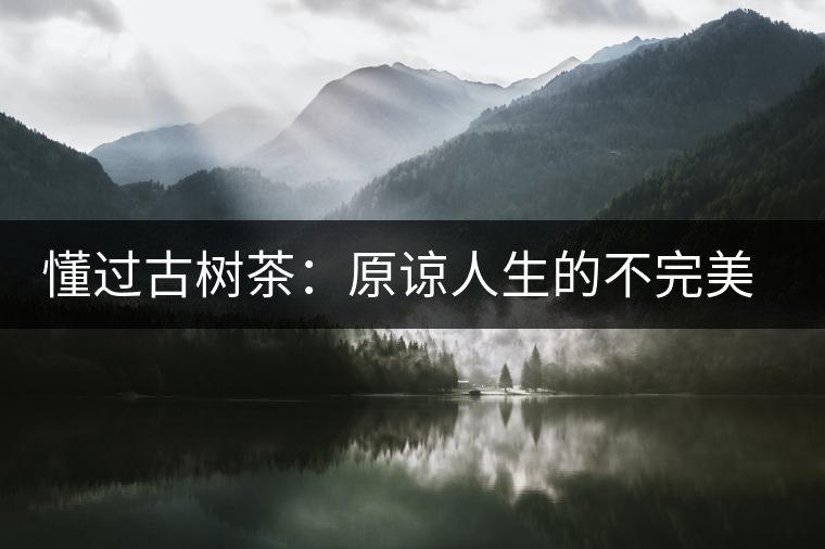 懂過(guò)古樹(shù)茶：原諒人生的不完美，多一次心靈的回歸！