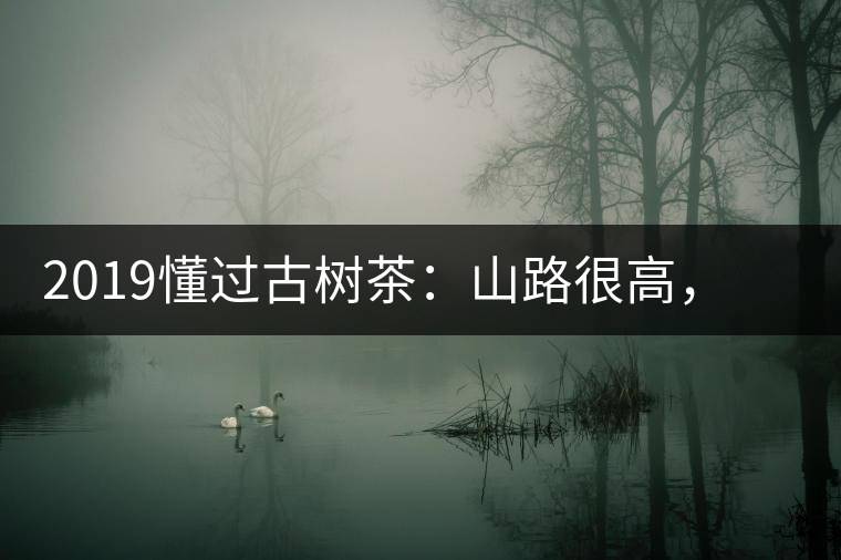 2019懂過(guò)古樹茶：山路很高，可仍然有執(zhí)著走向深山的人