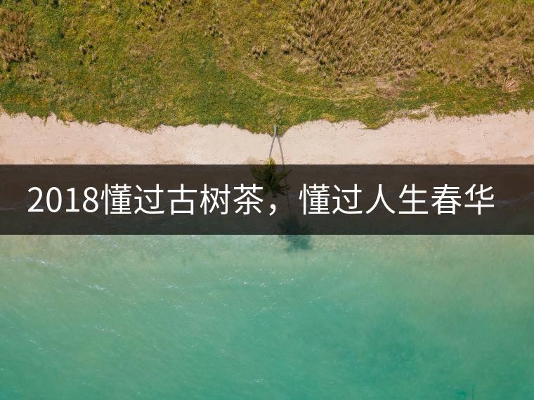 2018懂過古樹茶，懂過人生春華秋實(shí)！