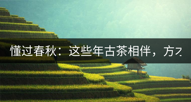 懂過春秋：這些年古茶相伴，方才懂過！