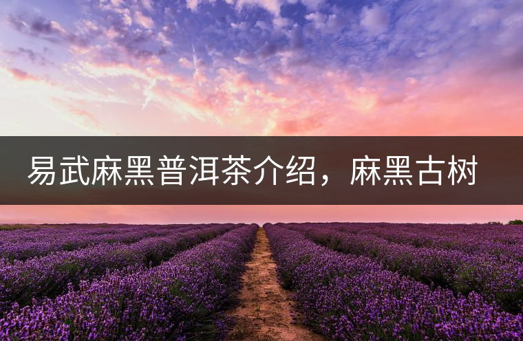 易武麻黑普洱茶介紹，麻黑古樹茶口感特點(diǎn)