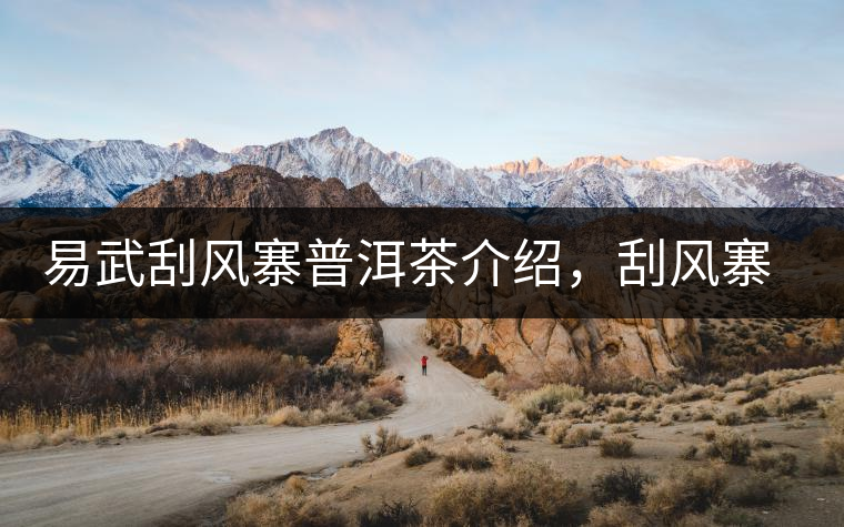 易武刮風(fēng)寨普洱茶介紹，刮風(fēng)寨古樹茶口感特點