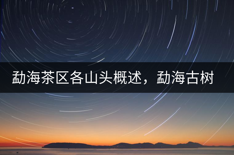 勐海茶區(qū)各山頭概述，勐海古樹茶口感特點(diǎn)