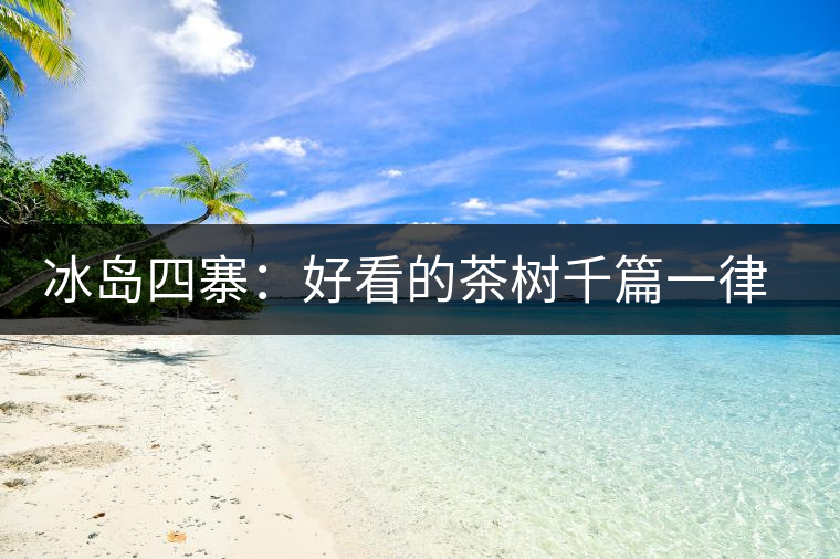 冰島四寨：好看的茶樹千篇一律，有趣的風景萬里