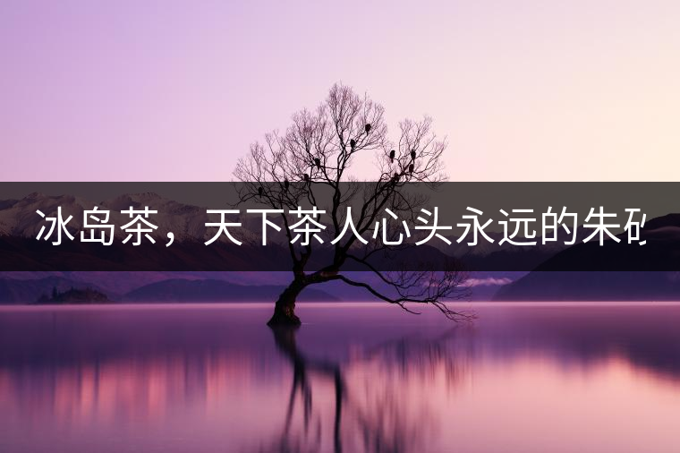 冰島茶，天下茶人心頭永遠的朱砂痣！