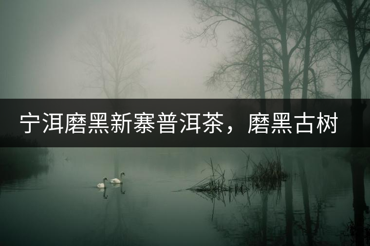 寧洱磨黑新寨普洱茶，磨黑古樹(shù)茶口感特點(diǎn)
