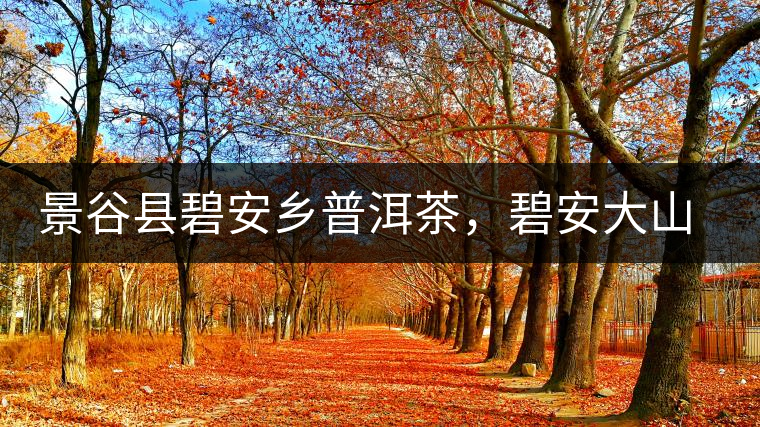 景谷縣碧安鄉(xiāng)普洱茶，碧安大山古樹茶口感特點(diǎn)