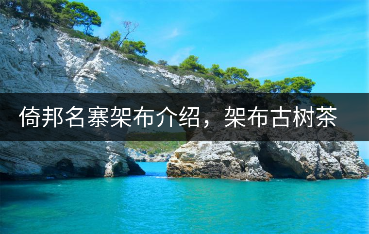 倚邦名寨架布介紹，架布古樹茶口感特點