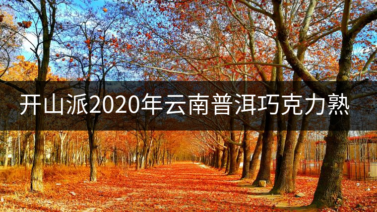開(kāi)山派2020年云南普洱巧克力熟茶磚 緊壓普洱茶熟茶1片裝50g