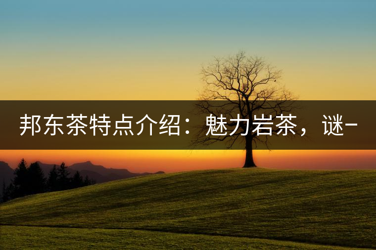 邦東茶特點(diǎn)介紹：魅力巖茶，謎一樣的邦東！