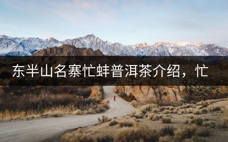 東半山名寨忙蚌普洱茶介紹，忙蚌古樹茶口感特點(diǎn)