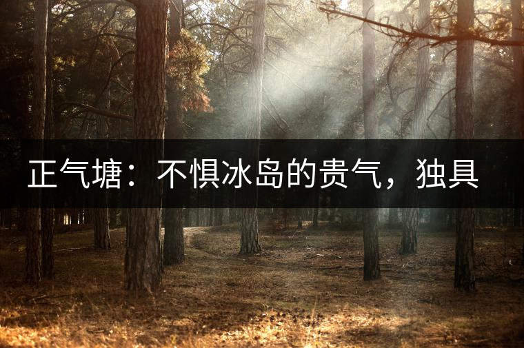 正氣塘：不懼冰島的貴氣，獨具冰島之魅力