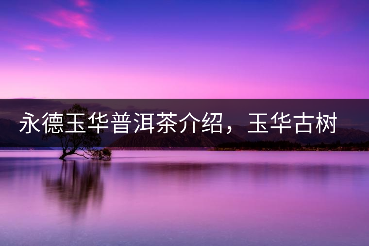 永德玉華普洱茶介紹，玉華古樹茶口感特點