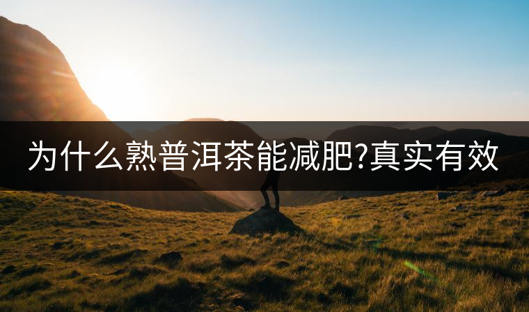 為什么熟普洱茶能減肥?真實(shí)有效嗎？