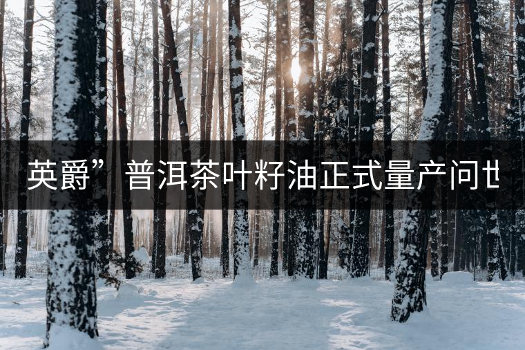 英爵”普洱茶葉籽油正式量產(chǎn)問世。