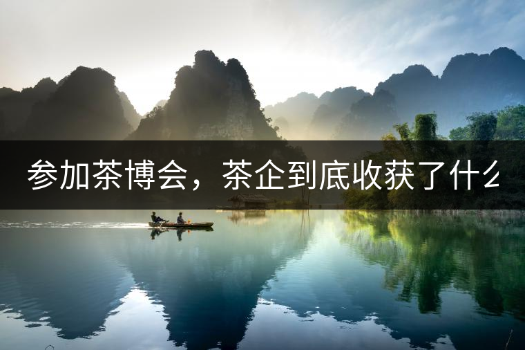 參加茶博會(huì)，茶企到底收獲了什么？