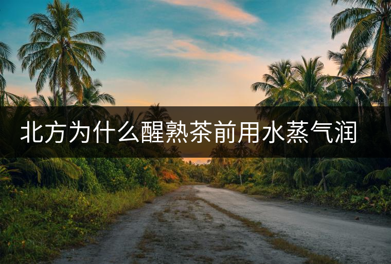 北方為什么醒熟茶前用水蒸氣潤一下？有何用處？