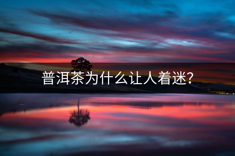 普洱茶為什么讓人著迷？