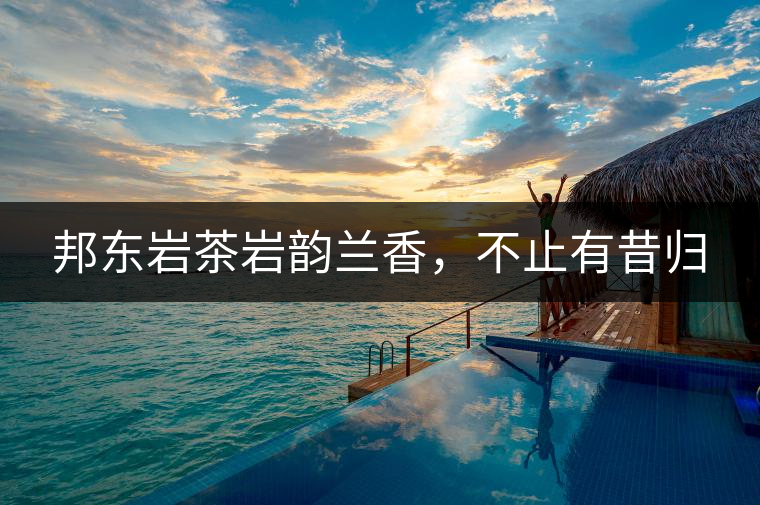 邦東巖茶巖韻蘭香，不止有昔歸