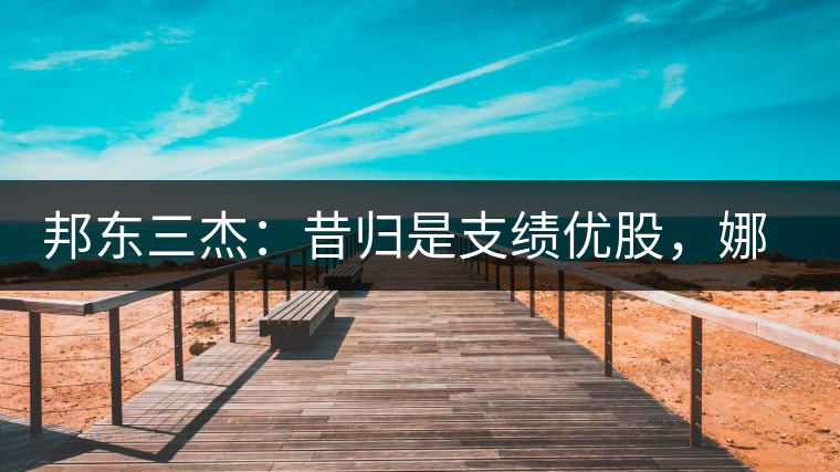 邦東三杰：昔歸是支績(jī)優(yōu)股，娜罕是支潛力股