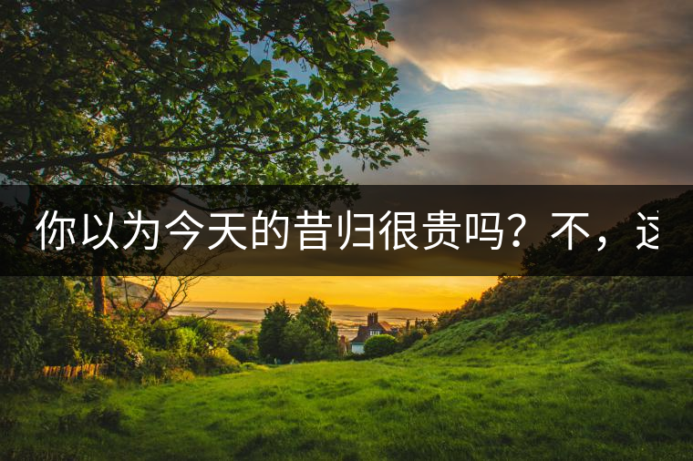 你以為今天的昔歸很貴嗎？不，這只是開始！