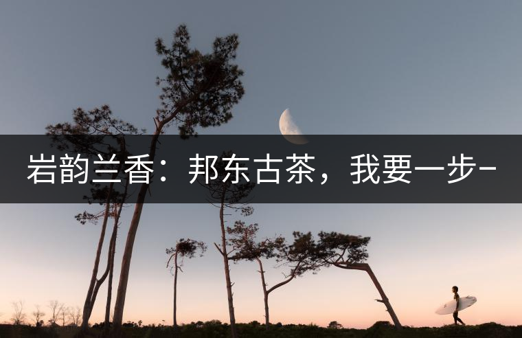 巖韻蘭香：邦東古茶，我要一步一步往上爬！