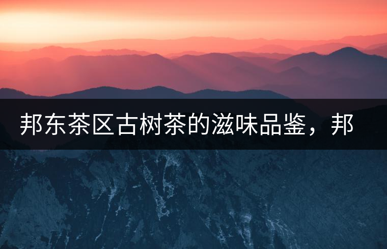 邦東茶區(qū)古樹(shù)茶的滋味品鑒，邦東普洱茶特點(diǎn)