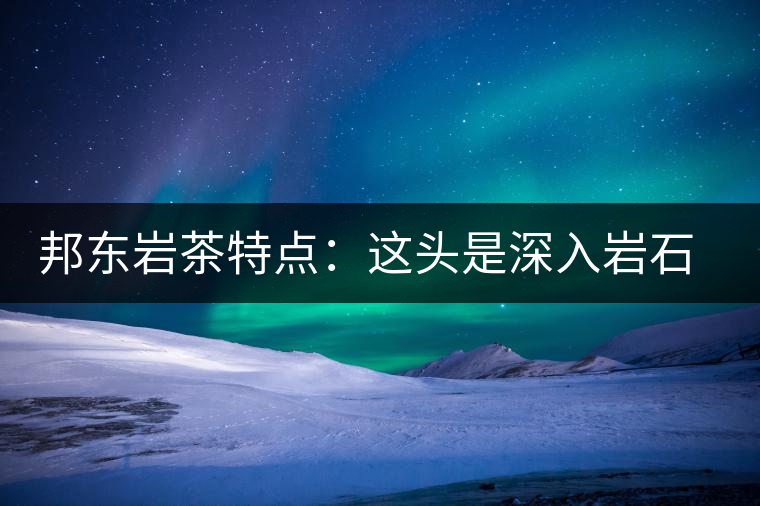 邦東巖茶特點(diǎn)：這頭是深入巖石的根，那頭是臨風(fēng)飄香的古韻