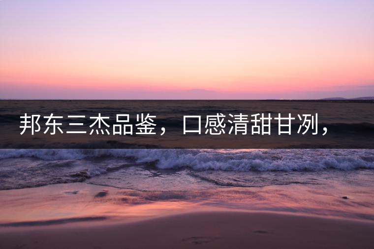 邦東三杰品鑒，口感清甜甘冽，香氣富于變化