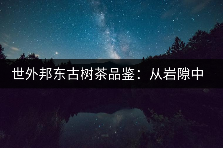 世外邦東古樹茶品鑒:從巖隙中開出的花朵 世外邦東古樹茶品鑒:從巖隙中開出的花朵