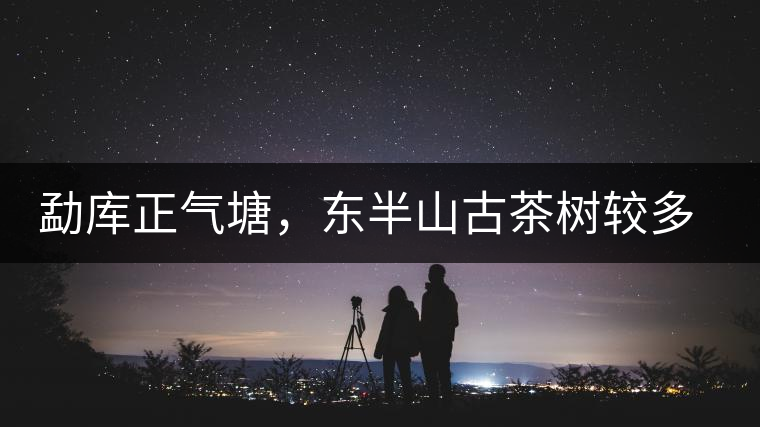 勐庫正氣塘，東半山古茶樹較多的寨子