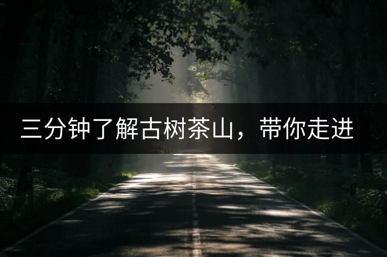 三分鐘了解古樹茶山，帶你走進(jìn)西蒙佛殿山